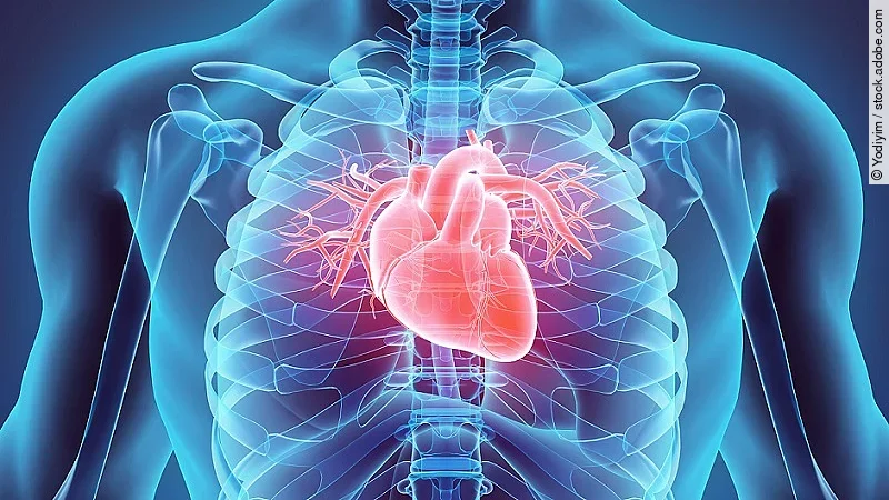 Kardiologie Kardiologie