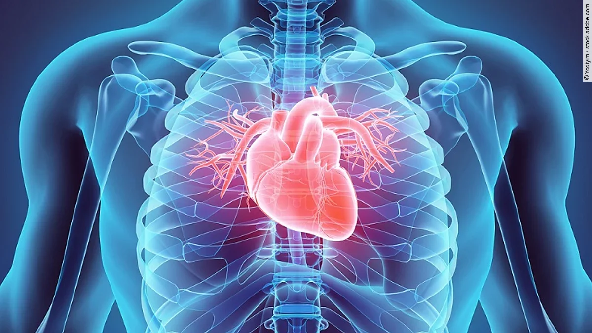 Kardiologie Kardiologie