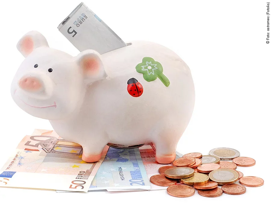 Sparschwein Euro Geldscheine Münzen