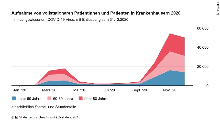 Vollstationäre Patienten 2020 Vollstationäre Patienten 2020