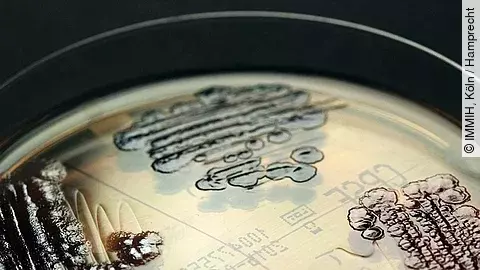 Multiresistente Keime