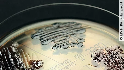 Multiresistente Keime Multiresistente Keime