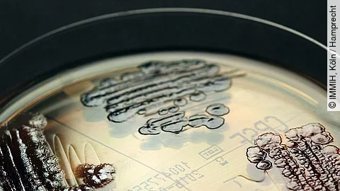 Multiresistente Keime Multiresistente Keime