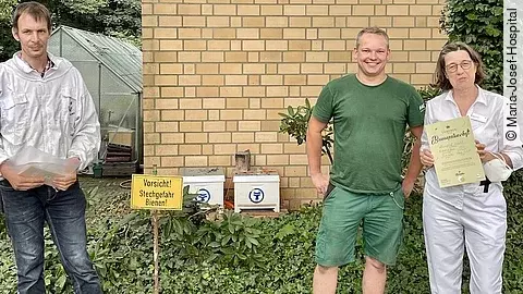 Maria-Josef-Hospital übernimmt Bienenpatenschaft