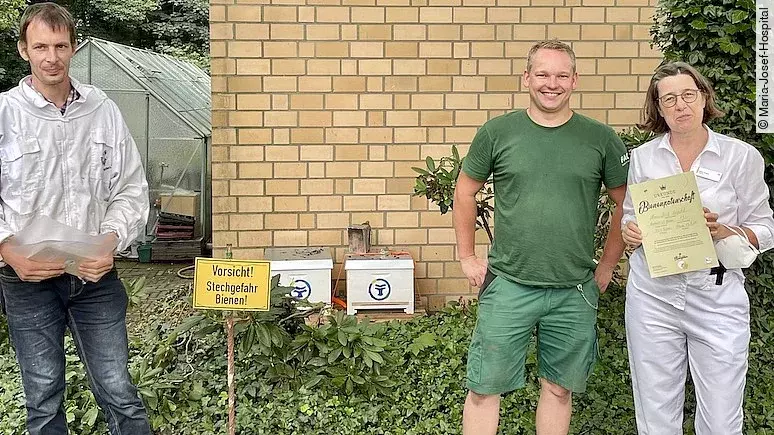 Maria-Josef-Hospital übernimmt Bienenpatenschaft Maria-Josef-Hospital übernimmt Bienenpatenschaft