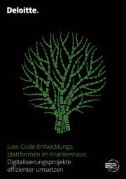 Digitalisierungsprojekte effizienter umsetzen