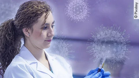 Forschung um das Coronavirus