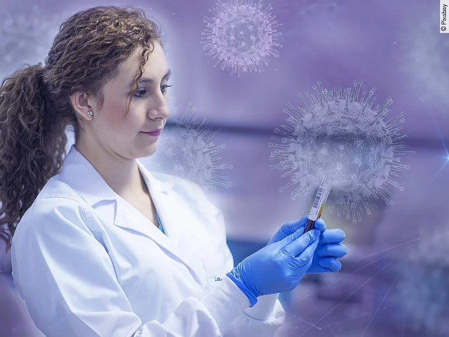 Forschung um das Coronavirus