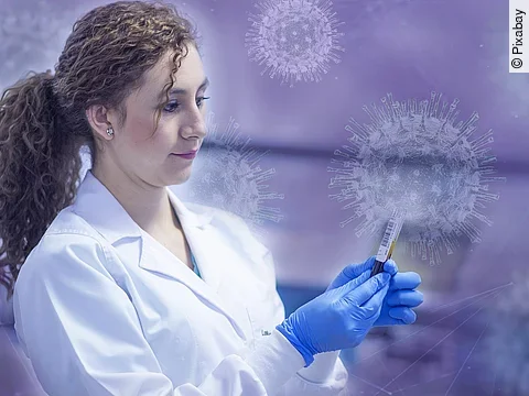 Forschung um das Coronavirus