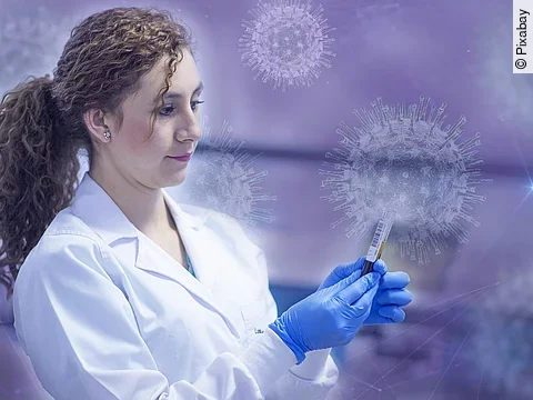 Forschung um das Coronavirus