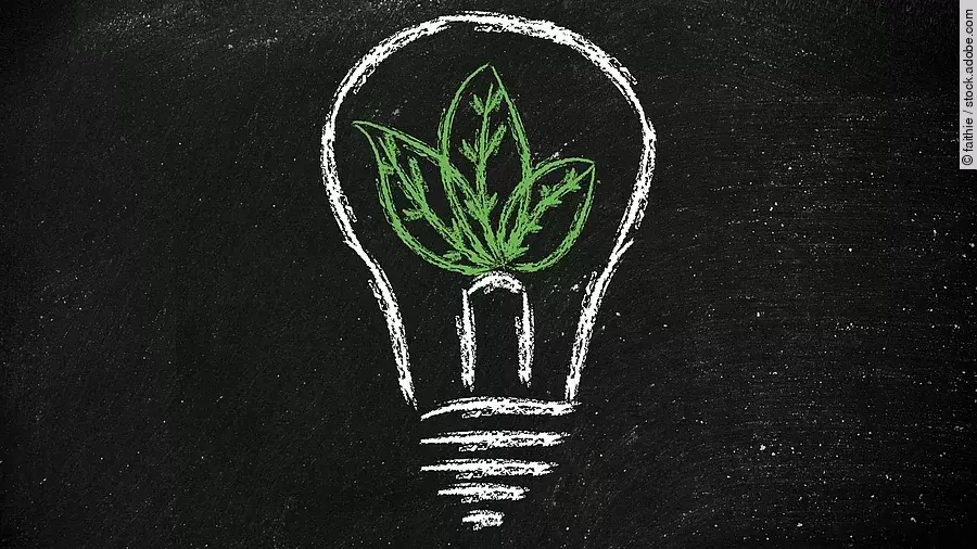 Eine gezeichnete Glühbirne, deren Inhalt eine Pflanze ist.