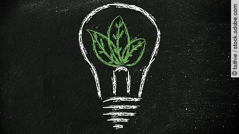 Grüne Energie Eine gezeichnete Glühbirne, deren Inhalt eine Pflanze ist.