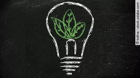 Eine gezeichnete Glühbirne, deren Inhalt eine Pflanze ist.