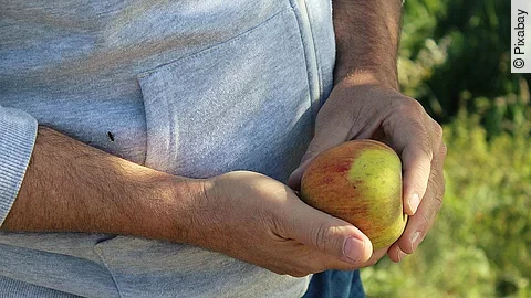 Männergesundheit Mann mit Apfel in der Hand