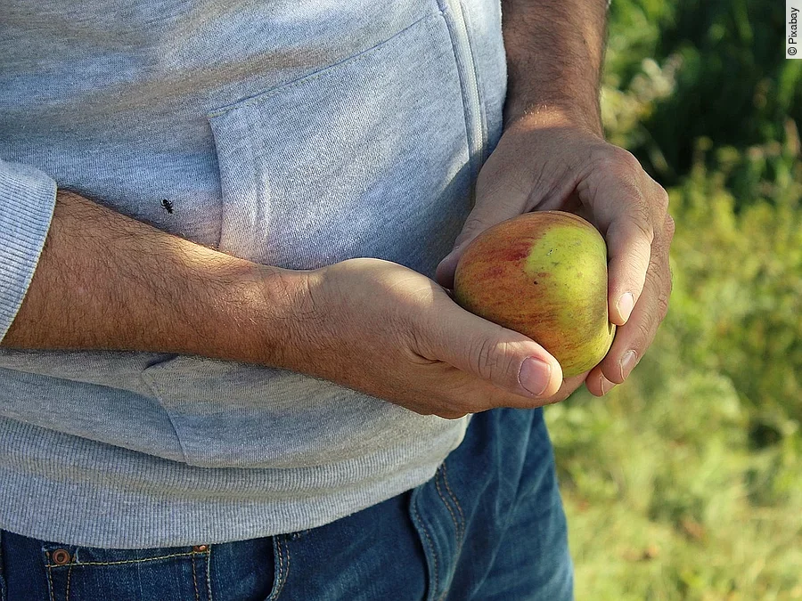 Männergesundheit Mann mit Apfel in der Hand