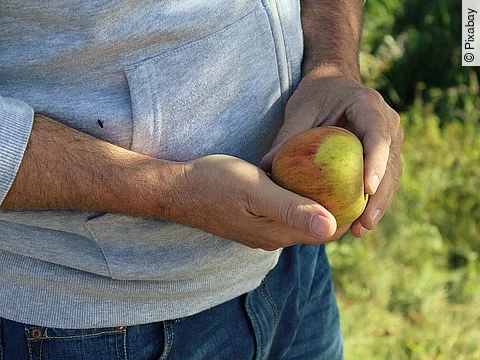 Mann mit Apfel in der Hand