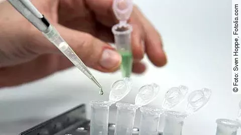 Forschung, Wissenschaft