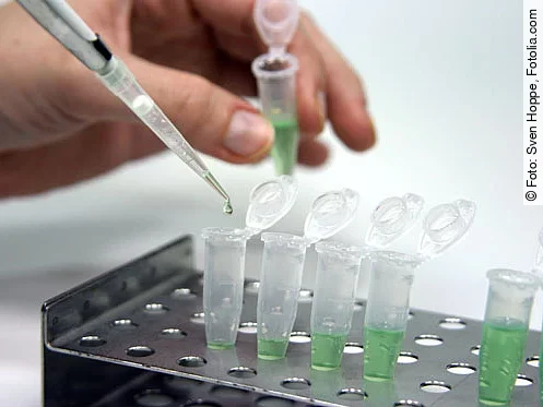 Forschung, Wissenschaft