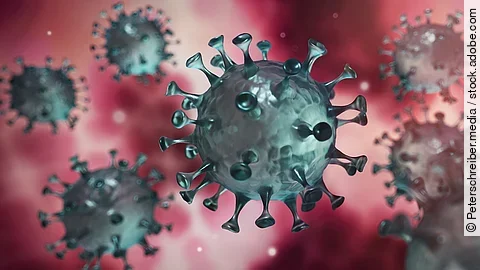 Coronavirus Coronavirus