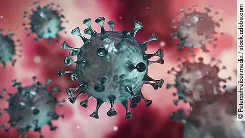 Coronavirus