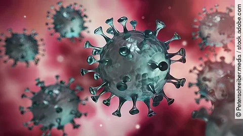 Coronavirus