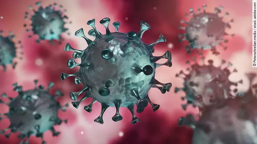 Coronavirus Coronavirus