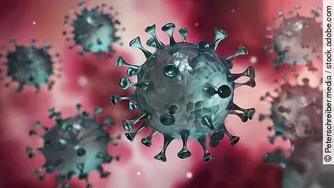 Coronavirus Coronavirus