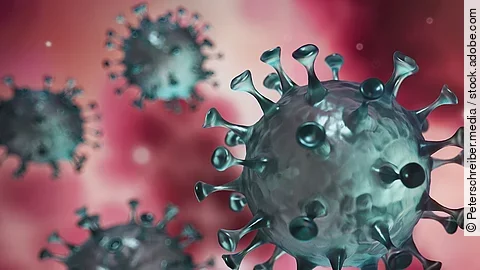 Coronavirus Coronavirus