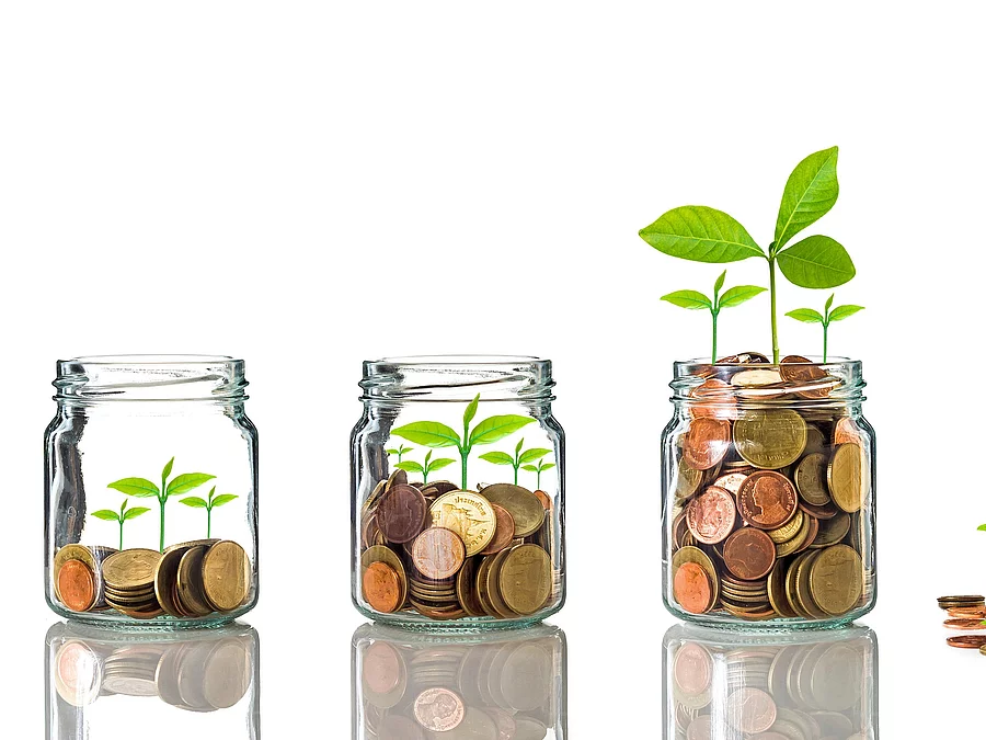 Fünf Gläser stehen nebeneinander. Das linke ist leer, das rechte gänzlich mit Münzen gefüllt. Dazwischen steigt die Menge der Münzen. Aus den Münzen wächst eine Pflanze, die mit zunehmender Geldsumme immer größer wird.