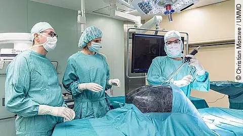 Magdeburger Thorax-Modell Magdeburger Thorax-Modell