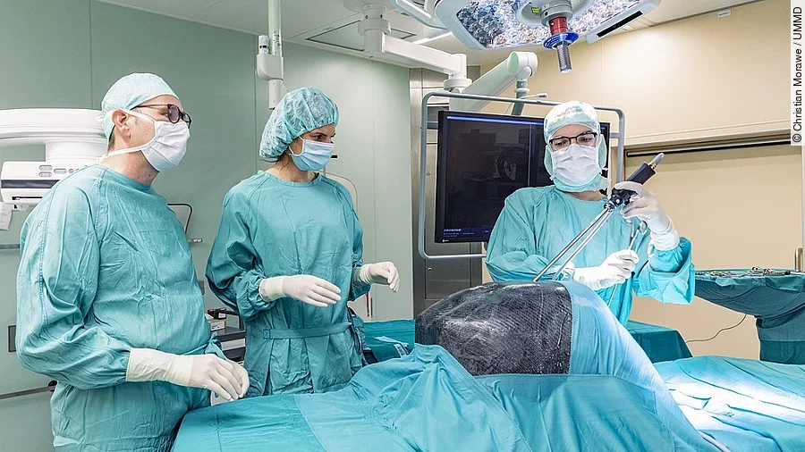 Magdeburger Thorax-Modell