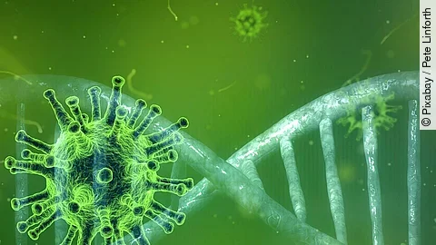 Coronavirus Coronavirus