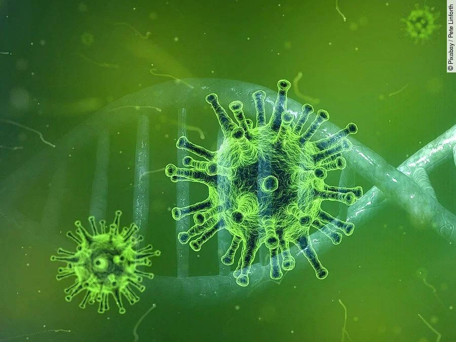 Coronavirus Coronavirus